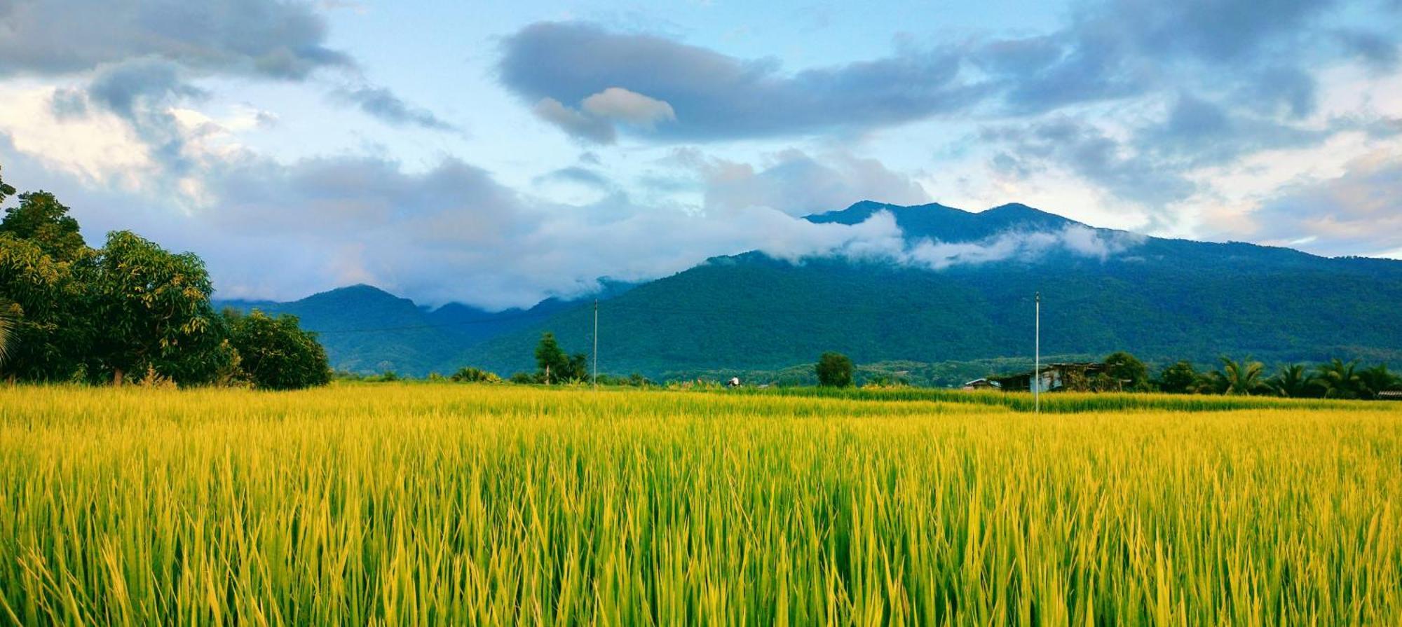 Poonsap Homestay น่าน ภายนอก รูปภาพ