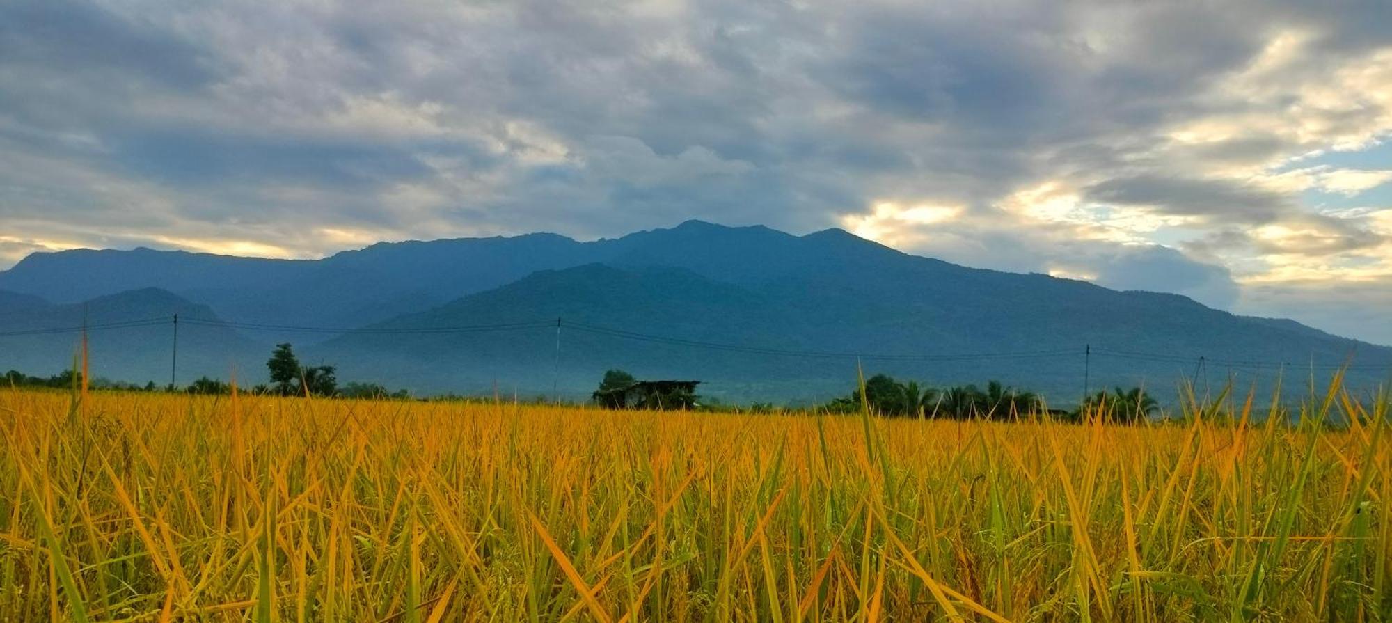 Poonsap Homestay น่าน ภายนอก รูปภาพ
