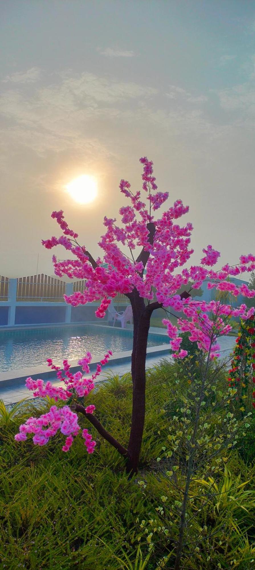 Poonsap Homestay น่าน ภายนอก รูปภาพ