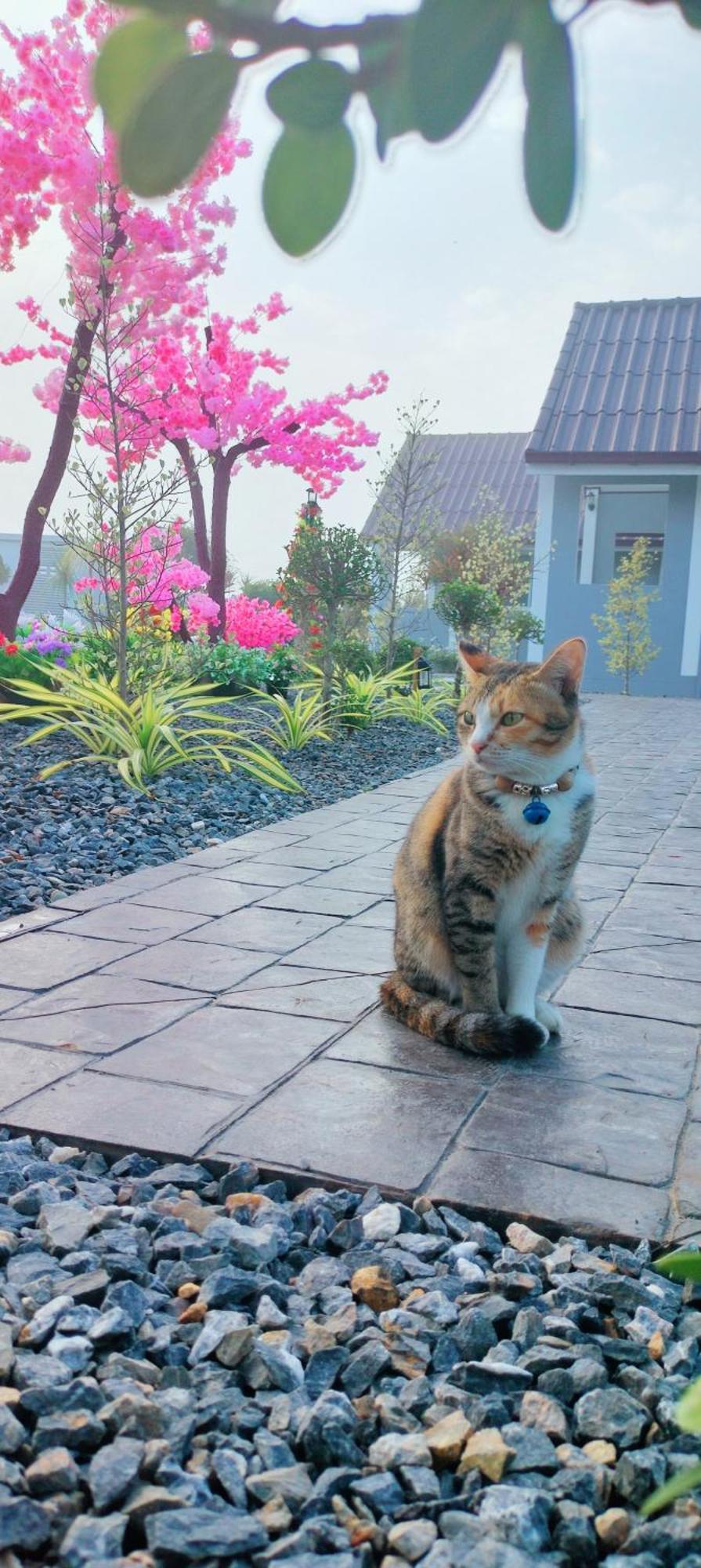 Poonsap Homestay น่าน ภายนอก รูปภาพ